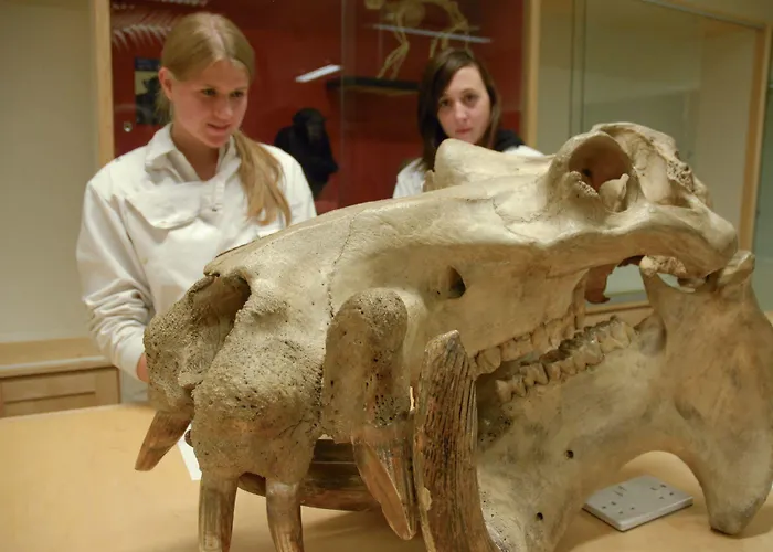 Apartment Trinity College - Campus